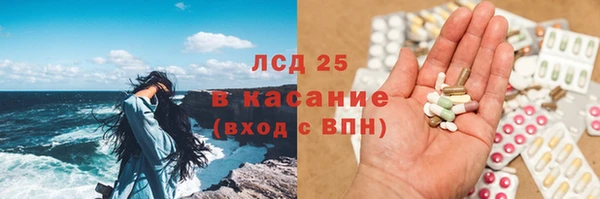 ГАЛЛЮЦИНОГЕННЫЕ ГРИБЫ Бердск