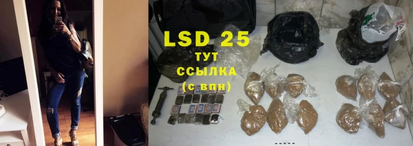 ГАЛЛЮЦИНОГЕННЫЕ ГРИБЫ Бердск