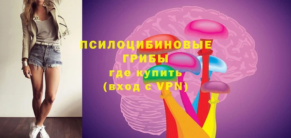ГАЛЛЮЦИНОГЕННЫЕ ГРИБЫ Бердск