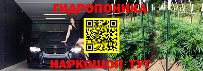 Альфа ПВП Донской