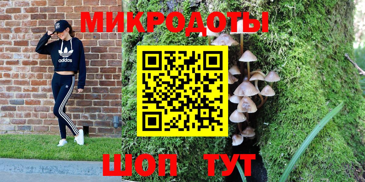 Арсеньев  Псилоцибиновые грибы прущие грибы  Псилоцибиновые грибы MAGIC MUSHROOMS  Вход с VPN 