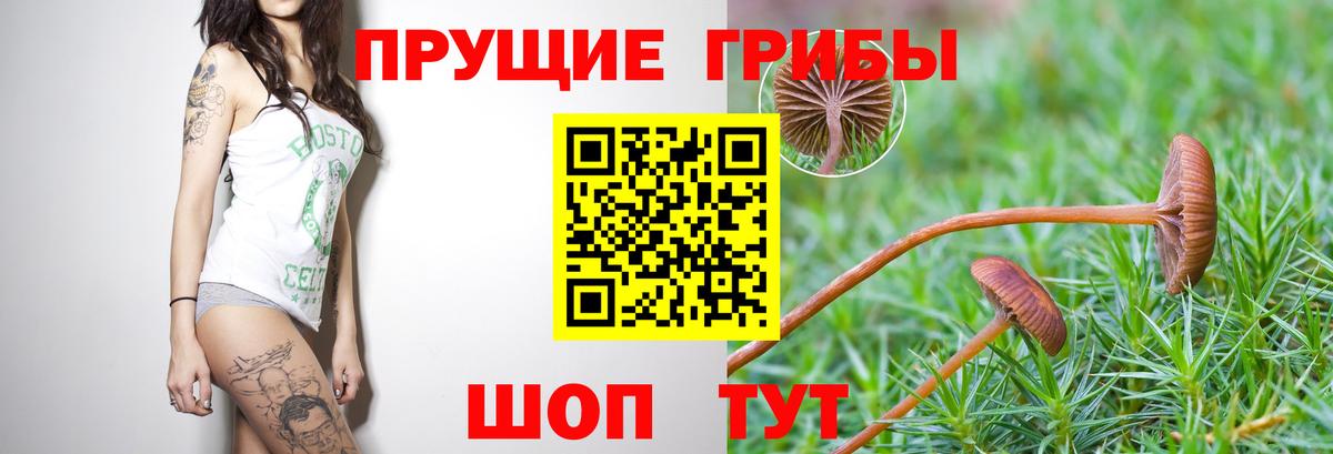 Псилоцибиновые грибы мухоморы Арсеньев