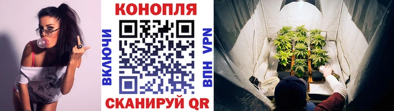 Канабис AK-47  Арсеньев 